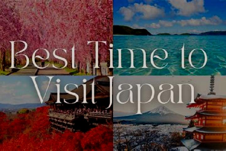 Iris, 28 — Escort in Shimo-ichigi, Japan