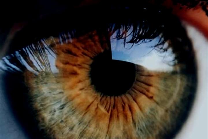 Iris, 29, a auburn hazel-eyed indian companion based in Batasan Bata. Offering Duos, Massage, A-Level. Available for incall and outcall, overnight bookings a...