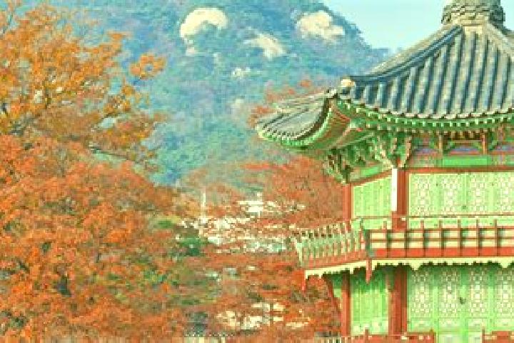Iris, 29 — Escort in Cheongju-si, South Korea