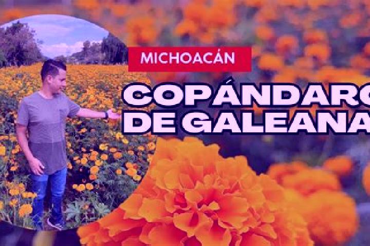 Iris, 29 — Escort in Copandaro (Copandaro del Cuatro), Mexico