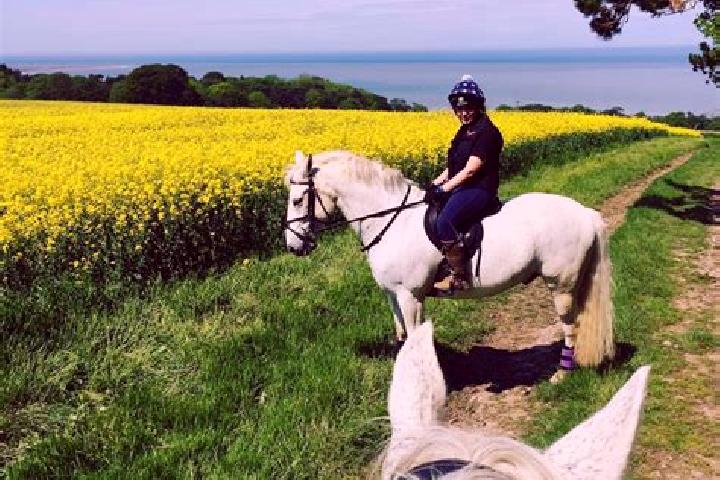 Iris, 29 — Escort in Mostyn, United Kingdom