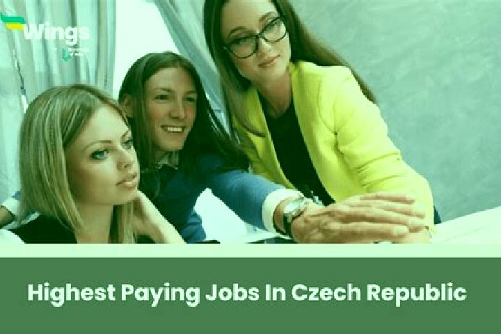 Iris, 29 — Escort in Zatcany, Czech Republic