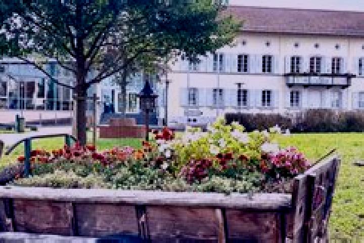 Iris, 30 — Escort in Kleinniedesheim, Germany