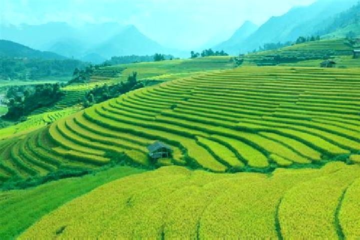Iris, 30 — Escort in Sa Pa, Vietnam