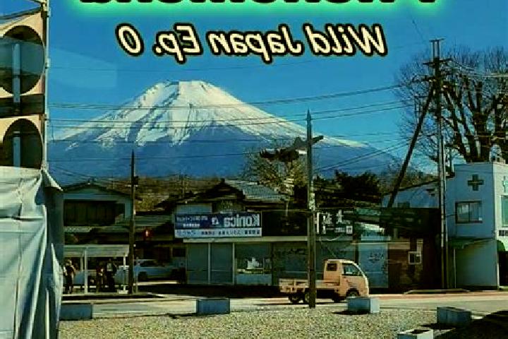 Iris, 30 — Escort in Toyokoro, Japan