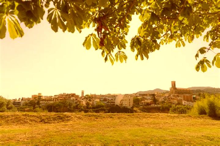 Iris, 30 — Escort in Valderrobres, Spain