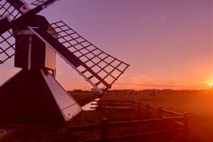 Iris, 30 — Escort in Zuidschermer, Netherlands