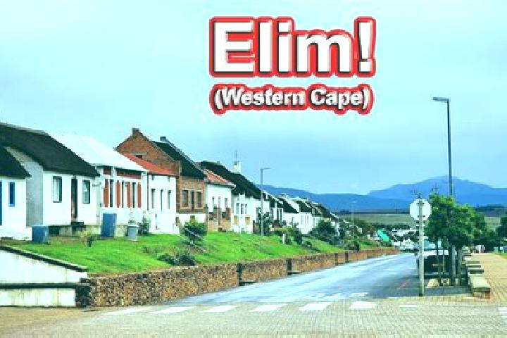 Iris, 31 — Escort in Elim, South Africa