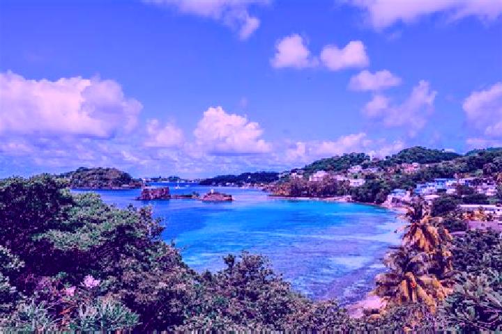 Iris, 31 — Escort in Gomea, Saint Vincent and the Grenadines