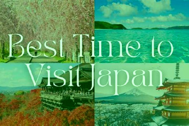Iris, 31 — Escort in Iizakamachi, Japan