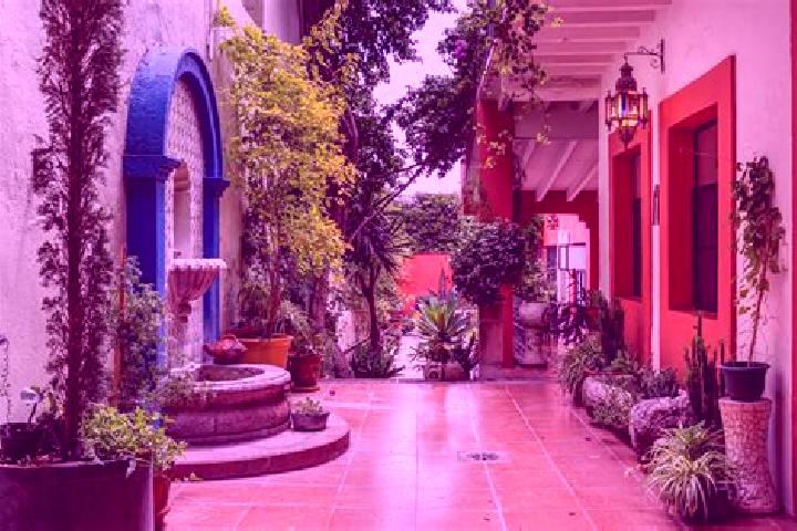 Iris, 31 — Escort in Puntilla Aldama, Mexico