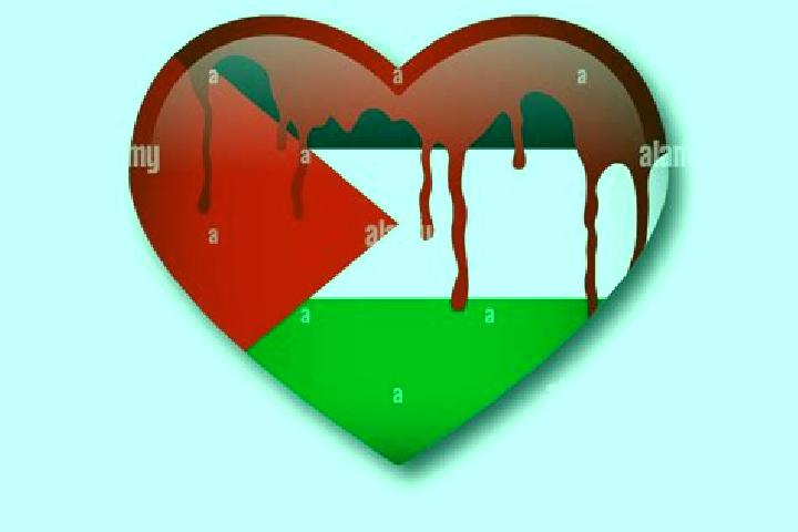 Iris, 31 — Escort in Saffa, Palestine