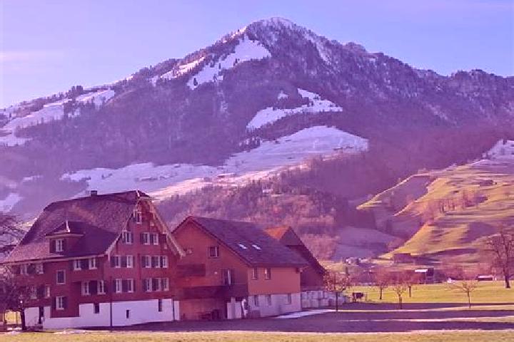 Iris, 31 — Escort in Schlieren / Kamp, Switzerland