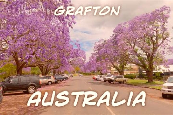 Iris, 31 — Escort in South Grafton, Australia