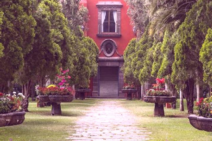 Iris, 31 — Escort in Tlacote el Alto, Mexico