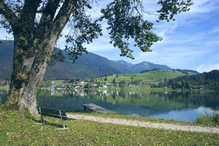Iris, 31 — Escort in Vorderthiersee, Austria