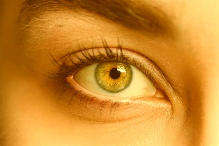Iris, 32, a auburn hazel-eyed mixed companion based in Barling. Offering Massage, Prostate Massage, Couples. Available for incall and outcall, day and evenin...