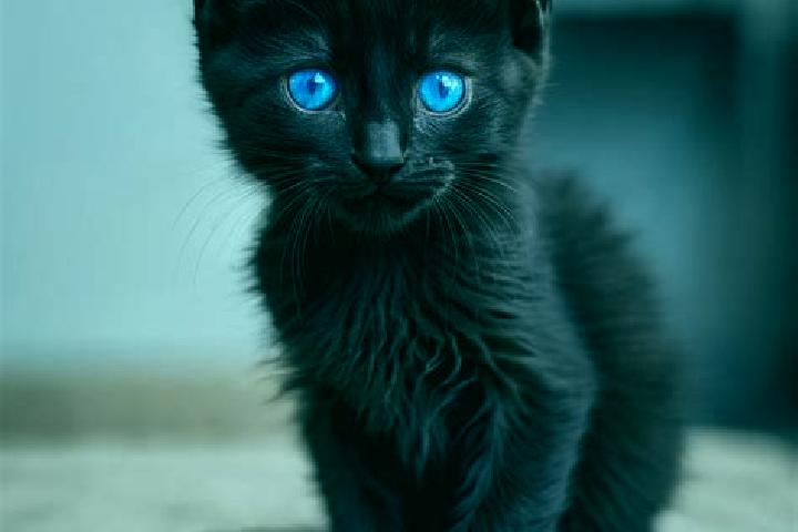Iris, 32, a black blue-eyed caribbean companion based in Akersberga. Offering CIM, OWO, Domination. Available for incall and outcall, day and evening dates.