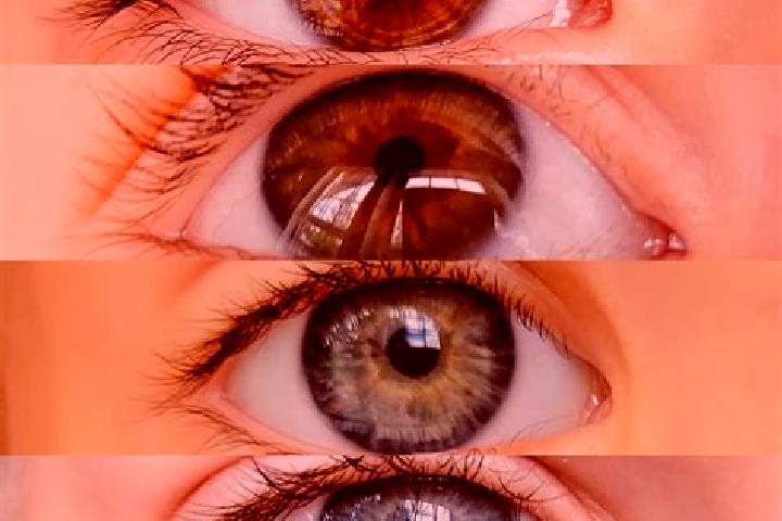 Iris, 32, a chestnut hazel-eyed asian companion based in Goor. Offering CIM, BDSM, Travel Companion, Erotic Massage. Available for incall and outcall, overni...