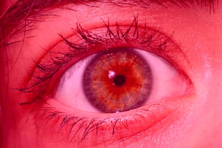 Iris, 32, a red hazel-eyed middle eastern companion based in Coshocton. Offering CIM, OWO, Overnight, Couples. Available for incall and outcall, overnight bo...