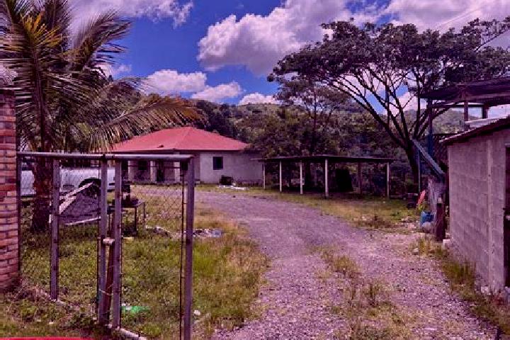 Iris, 32 — Escort in Oropendolas, Honduras