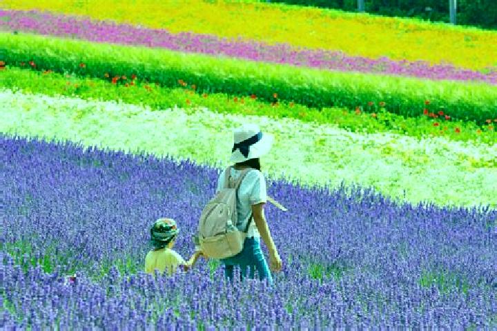 Iris, 32 — Escort in Shimo-furano, Japan