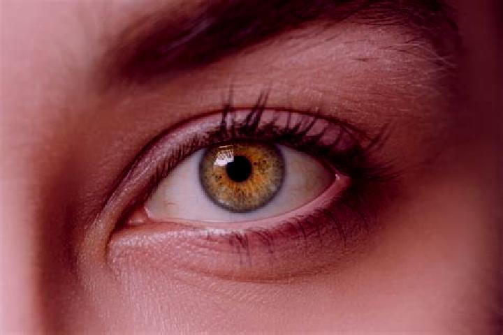 Iris, 33, a black hazel-eyed caucasian companion based in Gavia de Rionda. Offering Overnight, Deep French Kissing, Travel Companion. Available for incall an...