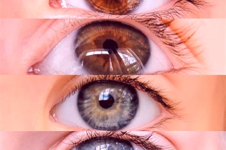 Iris, 33, a chestnut blue-eyed mixed companion based in Hambuhren. Offering Massage, OWO, Duos. Available for incall and outcall, overnight bookings available.