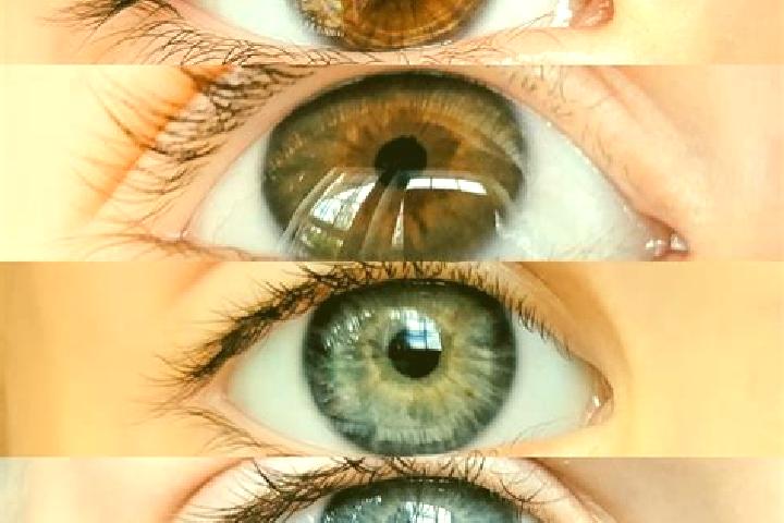 Iris, 33, a chestnut dark-eyed middle eastern companion based in Puluvappatti. Offering Domination, Duos, Overnight, GFE, CIM. Available for incall and outca...