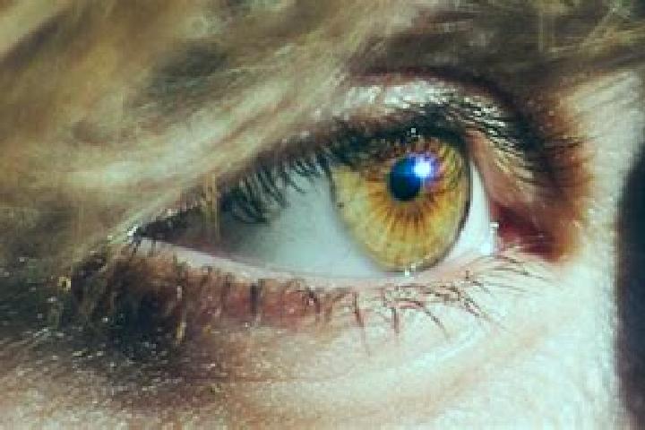 Iris, 33, a red amber-eyed caucasian companion based in Cigina. Offering GFE, Girlfriend Experience, A-Level. Available for incall and outcall, day and eveni...
