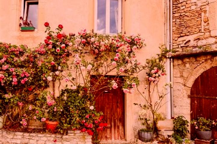 Iris, 33 — Escort in Grignan, France