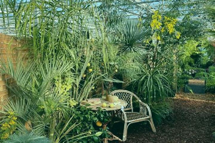 Iris, 33 — Escort in Neaufles-Saint-Martin, France
