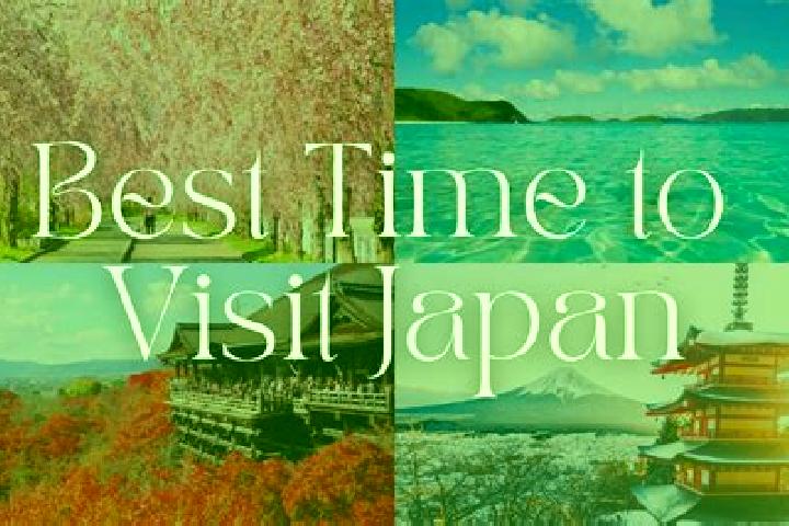 Iris, 33 — Escort in Saito, Japan