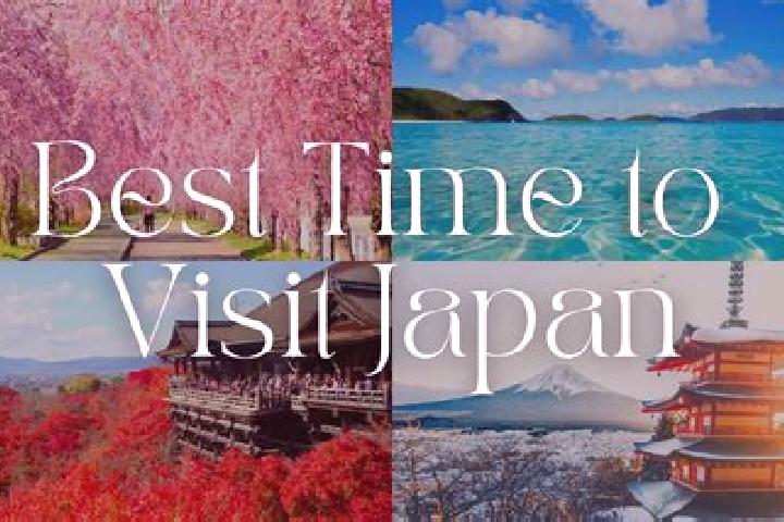 Iris, 33 — Escort in Sakado, Japan