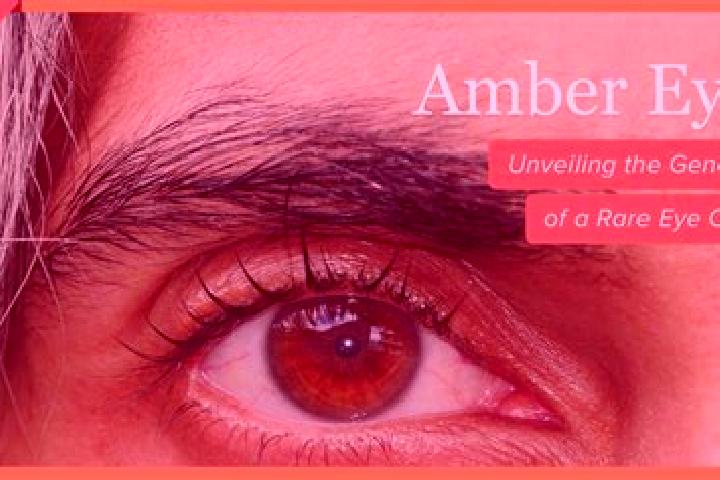 Iris, 34, a black amber-eyed mixed companion based in Nieva de Cameros. Offering OWO, Girlfriend Experience, Erotic Massage, BDSM. Available for incall and o...