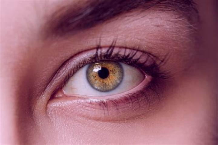 Iris, 34, a black hazel-eyed mixed companion based in Manthani. Offering Couples, Fetish, Erotic Massage. Available for incall and outcall, overnight booking...