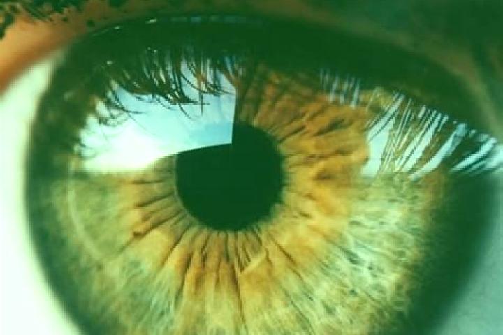 Iris, 34, a dark blonde hazel-eyed caucasian companion based in Brimfield. Offering OWO, 69, CIM, Roleplay. Available for incall and outcall, overnight booki...