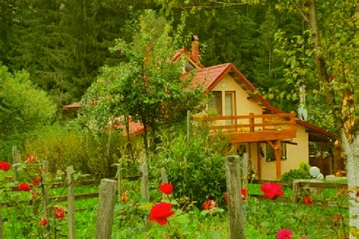 Iris, 34 — Escort in Campu lui Neag, Romania