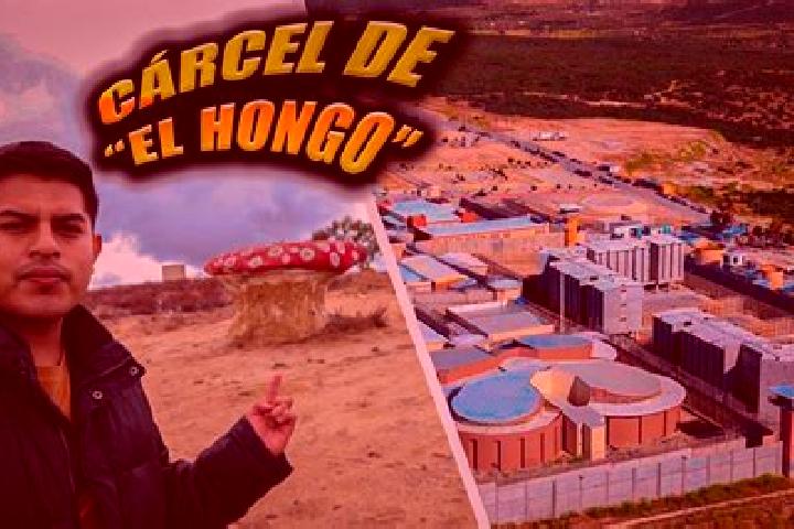 Iris, 34 — Escort in Cereso del Hongo, Mexico