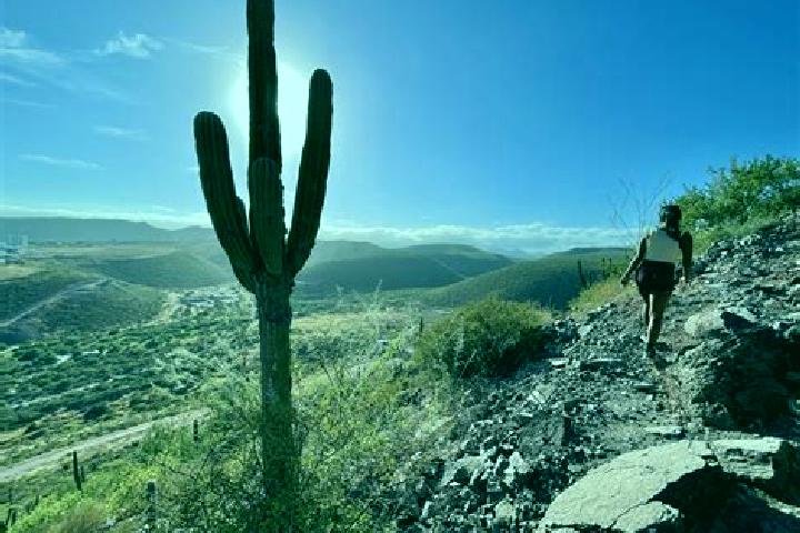 Iris, 34 — Escort in Cerro de la Cruz, Mexico