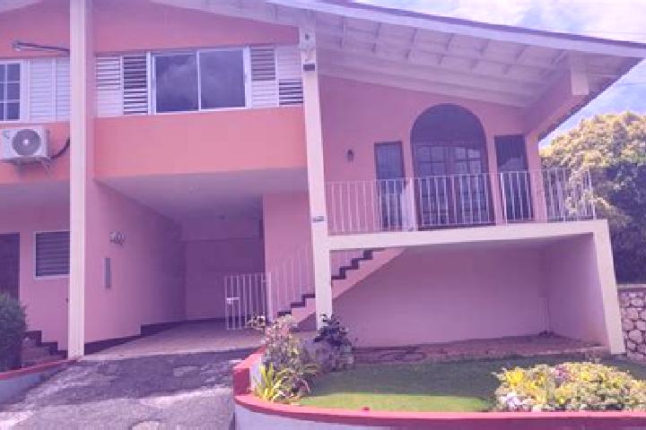 Iris, 34 — Escort in Constant Spring, Jamaica