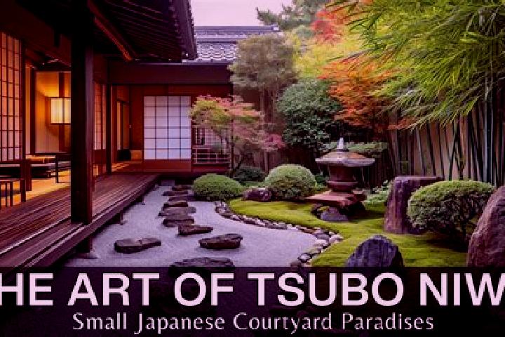 Iris, 34 — Escort in Fukutsu, Japan