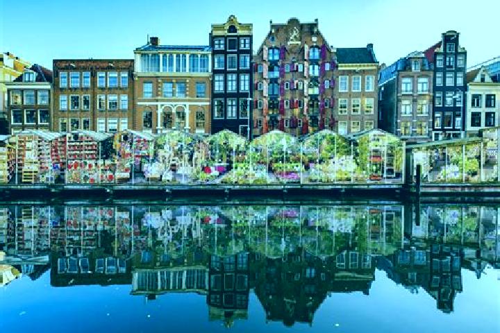 Iris, 34 — Escort in Gracht, Netherlands
