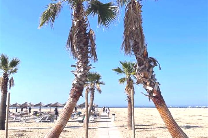 Iris, 34 — Escort in Lido degli Estensi, Italy