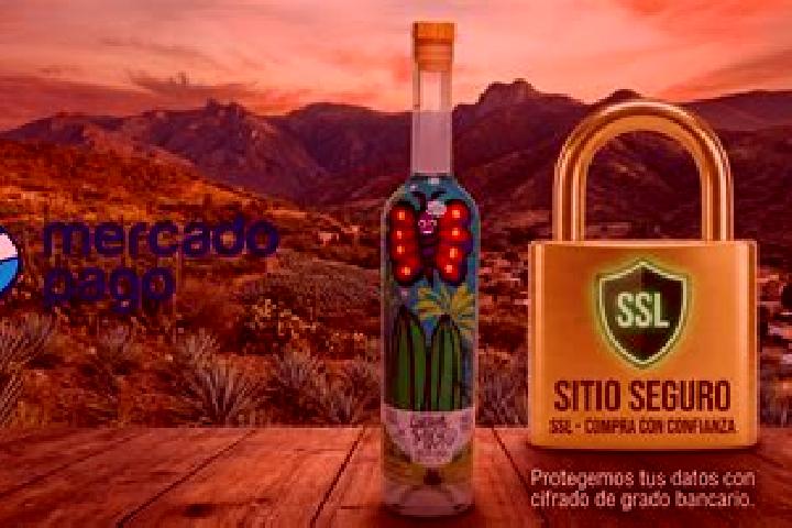 Iris, 34 — Escort in Mezcales, Mexico