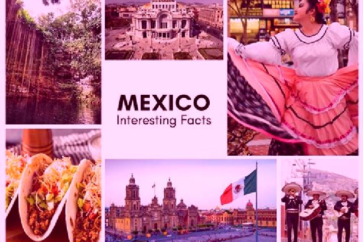 Iris, 34 — Escort in Tecpaco, Mexico