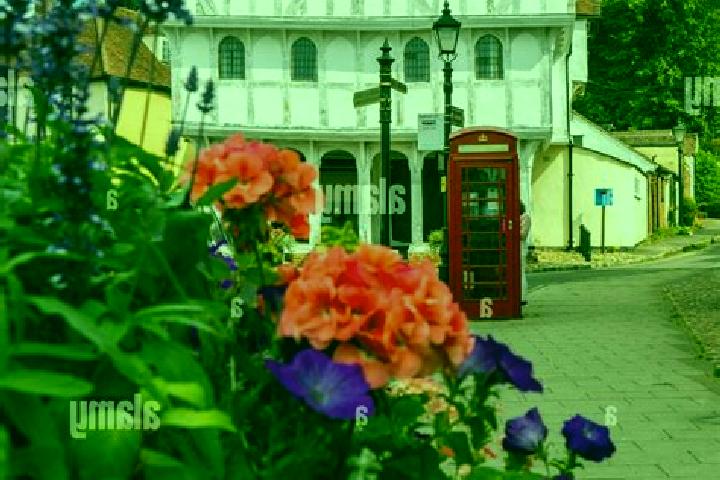 Iris, 34 — Escort in Thaxted, United Kingdom