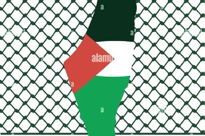 Iris, 34 — Escort in Zayta, Palestine