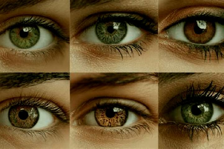 Iris, 35, a chestnut hazel-eyed middle eastern companion based in Novoselec. Offering Duos, Deep French Kissing, Overnight. Available for incall and outcall,...