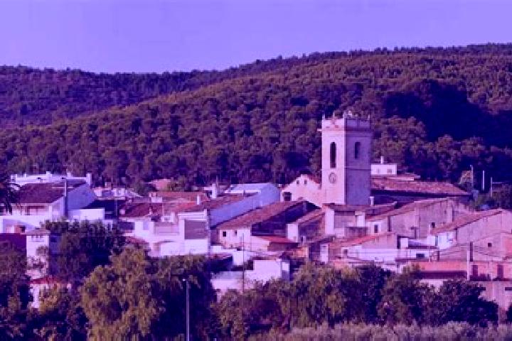 Iris, 35 — Escort in Atzeneta d Albaida, Spain